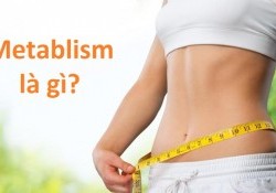 Metabolism là gì? Cách tăng tốc độ trao đổi chất hiệu quả Nhất