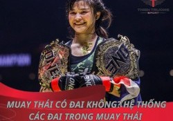 Muay Thái có đai không? Hệ thống các đai trong Muay Thái 