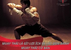 Muay Thái là gì? Lợi ích và các đòn đánh Muay Thái cơ bản