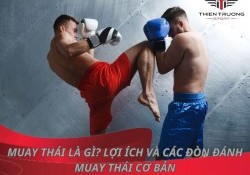 Nên tập boxing hay Muay Thái? Môn võ nào tốt và hiệu quả hơn