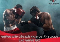 Tổng hợp những điều cần biết khi mới tập boxing cho người mới