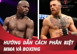 Hướng dẫn cách phân biệt MMA và Boxing chi tiết, chính xác nhất!