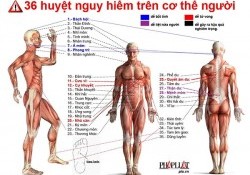 36 huyệt nguy hiểm trên cơ thể người: Cần biết để tránh