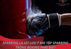 Sparring là gì? 7 lưu ý khi tập sparring trong boxing phải biết