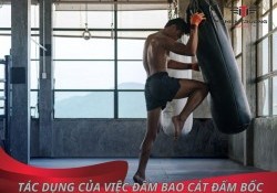 Tác dụng của việc đấm bao cát đấm bốc 