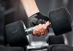 TOP 10 găng tay tập Gym chính hãng, giá tốt Nhất hiện nay