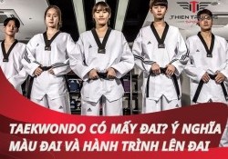 Taekwondo có mấy đai? Ý nghĩa màu đai và hành trình lên đai