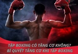 Tập boxing có tăng cơ không? Bí quyết tăng cơ khi tập boxing