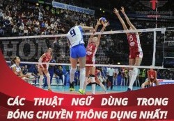 Biết tuốt các thuật ngữ dùng trong bóng chuyền thông dụng nhất!