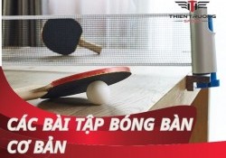 Các bài tập bóng bàn cơ bản: bí quyết nâng tầm kỹ thuật