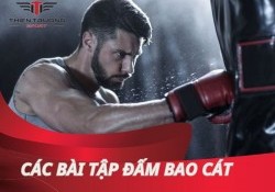 Các bài tập đấm bao cát hiệu quả. Đánh thức võ sĩ trong bạn!