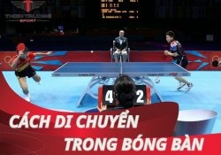 Cách di chuyển trong bóng bàn: Chìa khóa then chốt thành công