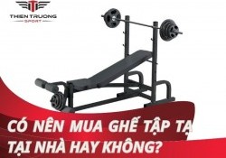 Có nên mua ghế tập tạ tại nhà? Bật mí câu trả lời hợp lý nhất!