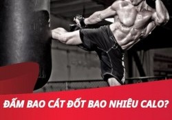 Giải đáp: Đấm bao cát đốt bao nhiêu calo? 