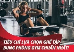 Tiêu chí lựa chọn ghế tập bụng phòng gym chất lượng nhất!