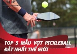 Top 5 mẫu vợt pickleball đắt nhất thế giới