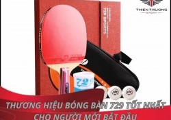 Thương hiệu bóng bàn 729 tốt nhất cho người mới bắt đầu