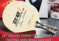 Tất tần tật thông tin cần biết về thương hiệu bóng bàn DHS 