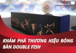 Thương hiệu bóng bàn Double Fish: Biểu tượng của chất lượng