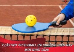 Top 7 cây vợt Pickleball ưa chuộng hiện nay mới nhất 2024 