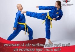 Vovinam là gì? Những điều thú vị về võ Vovinam bạn chưa biết