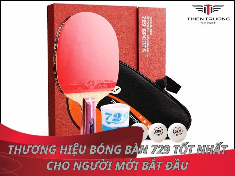 Thương hiệu bóng bàn 729 - phù hợp cho người mới bắt đầu