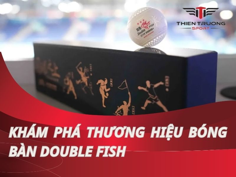 Thương hiệu bóng bàn Double Fish: Biểu tượng của chất lượng