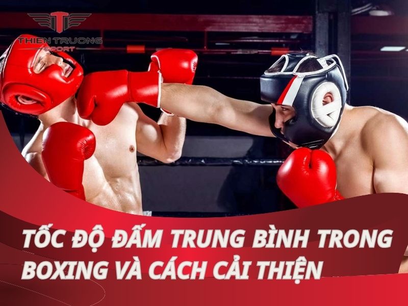 Tốc độ đấm trung bình là gì? Khám phá tốc độ đấm trong Boxing