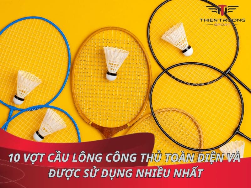 10 vợt cầu lông công thủ toàn diện và được sử dụng nhiều Nhất