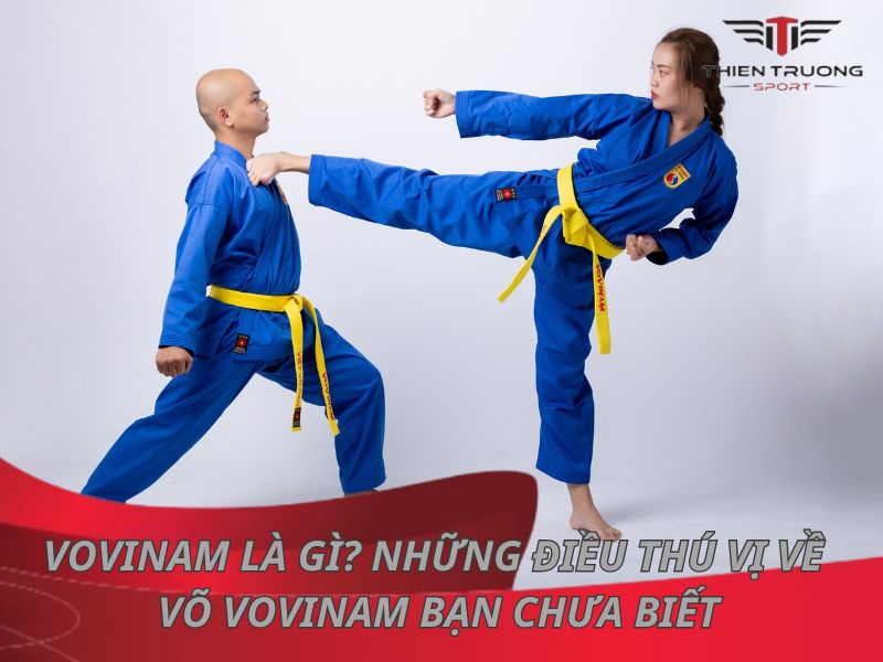 Vovinam là gì? Những điều thú vị về võ Vovinam bạn chưa biết