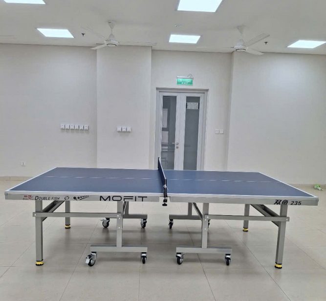 Bàn bóng bàn Double Fish 235 15 Bàn bóng bàn Double Fish 235
