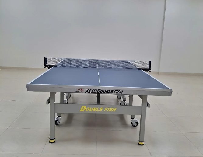 Bàn bóng bàn Double Fish 235 11 Bàn bóng bàn Double Fish 235