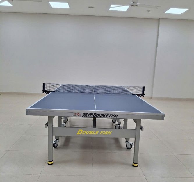 Bàn bóng bàn Double Fish 235 13 Bàn bóng bàn Double Fish 235
