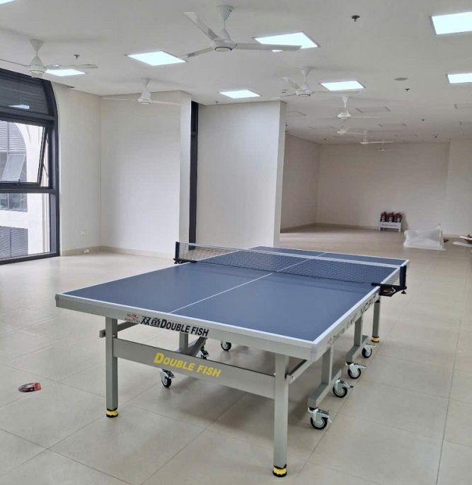 Bàn bóng bàn Double Fish 235 14 Bàn bóng bàn Double Fish 235