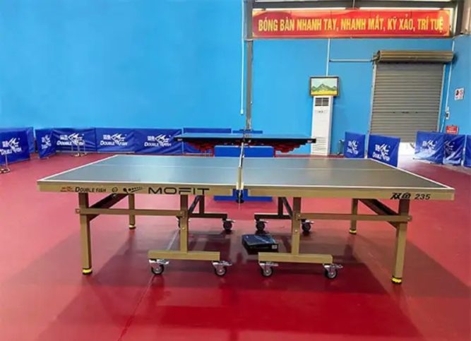 Bàn bóng bàn Double Fish 235G 9 Ban bong ban Double Fish 235 New 3 2
