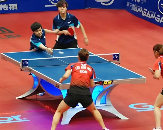 Bàn bóng bàn Double Fish Volant 2A cao cấp chuẩn ITTF 1