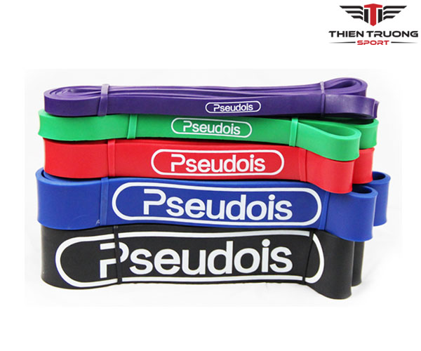 Bộ dây bản thun tập thể lực Pseudois 5 màu 6 bộ dây bản thun tập thể lực Pseudois 5 màu