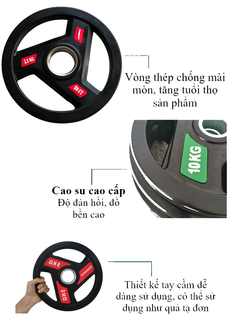 Tạ bánh cao su Kingbox (65.000/Kg) 6 Đặc điểm tạ bánh cao su Kingbox
