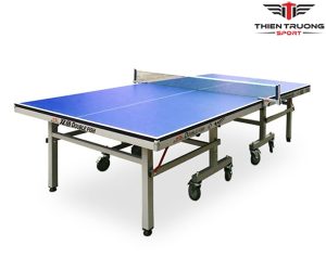 Bàn bóng bàn Double Fish 332A