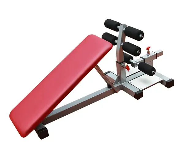 Khung tập lưng bụng – squat 601009