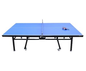 Bàn bóng bàn thi đấu 303551