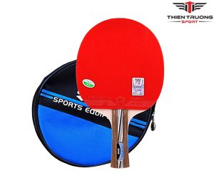 Vợt bóng bàn 729 2020