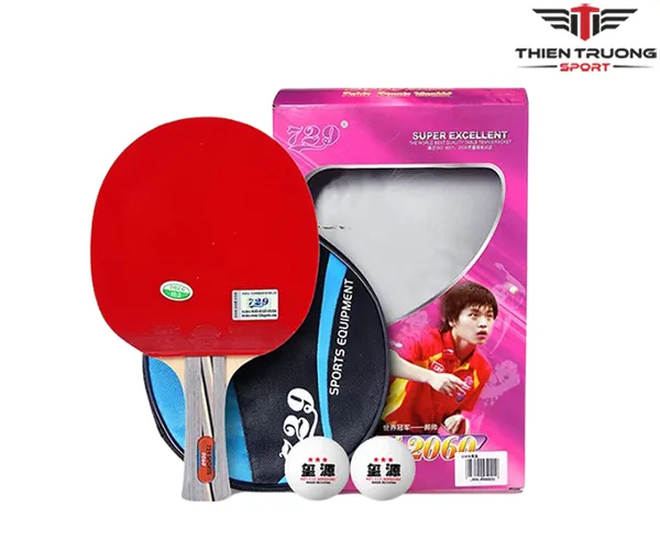 Vợt bóng bàn 729 2060