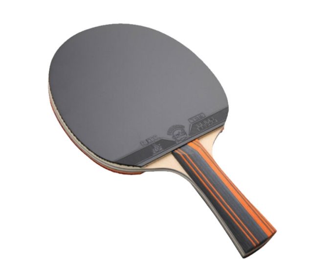 Vợt bóng bàn 729 3Star