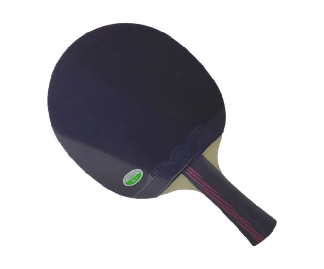 Vợt bóng bàn 729 Golden Max 3Star 5 Vợt bóng bàn 729 Golden Max 3Star