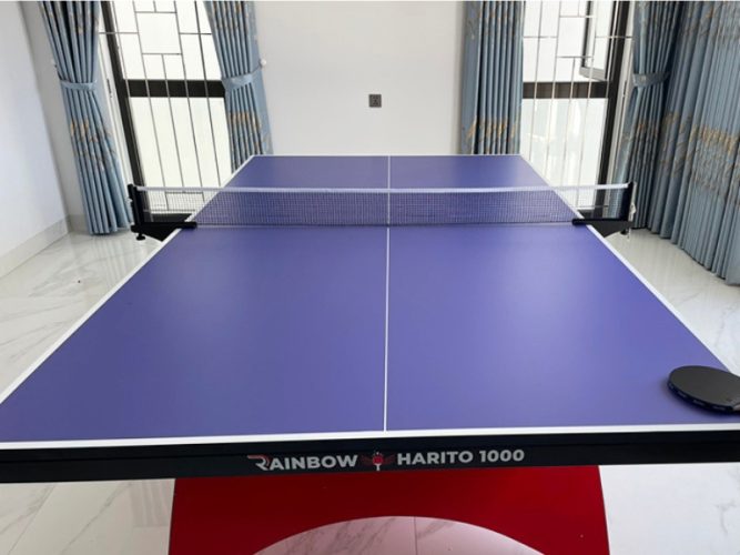 Bàn bóng bàn Rainbow Harito 1000 8 bóng bàn Rainbow-Harito 1000