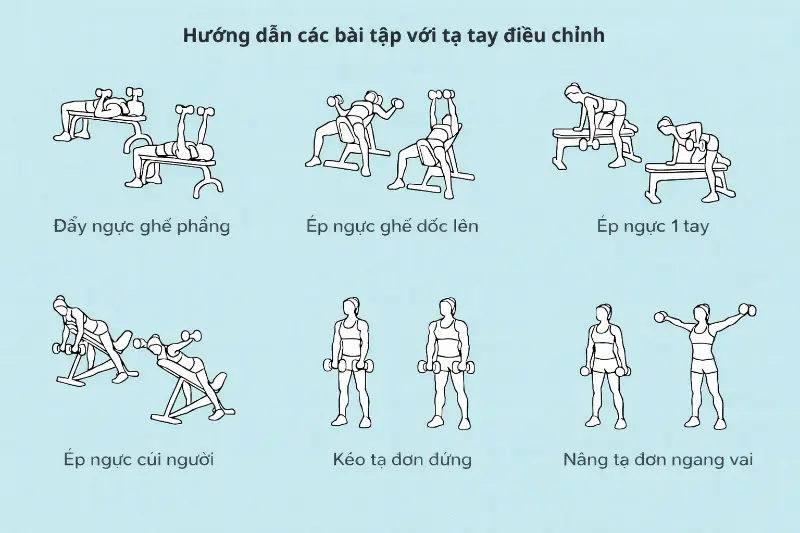 Các bài tập với tạ tay điều chỉnh 12kg
