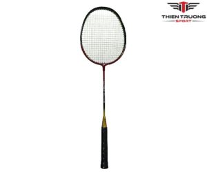 dac diem vot cau long wish pro 308