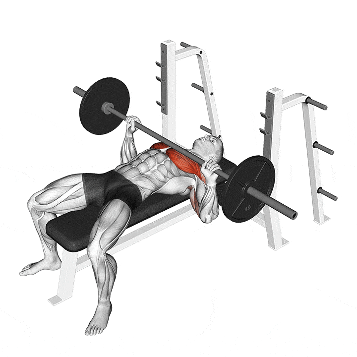 Ghế tập tạ đơn XK Thiên Trường 10 đẩy tạ với ghế tập tạ barbell-bench-press-min