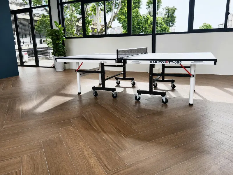 Bàn bóng bàn Harito TT-005 6 Ưu điểm nổi bật của bàn bóng bàn Harito TT-005